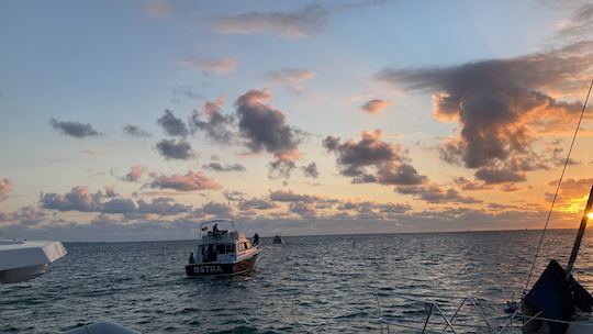 Fishing Charter 38’ Comfort Line Boat, in Cancun, Mexico