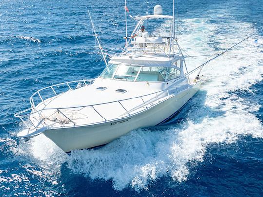 Barco Viking de 43 pés - Barco elegante e poderoso, incrível para pesca e mergulho com snorkel