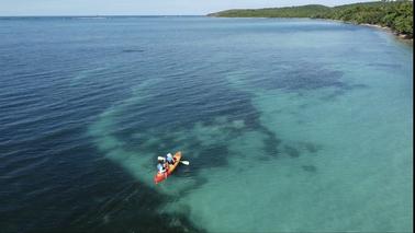 Experiencia de alquiler de kayaks