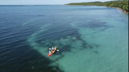 Expérience de location de kayaks