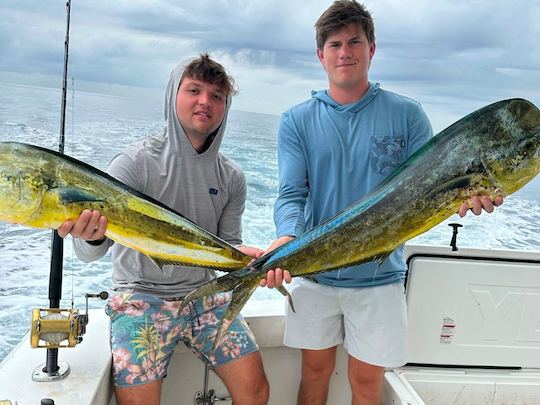 Charter privado de pesca en alta mar en un Bertram de 43 pies en Nassau, Bahamas