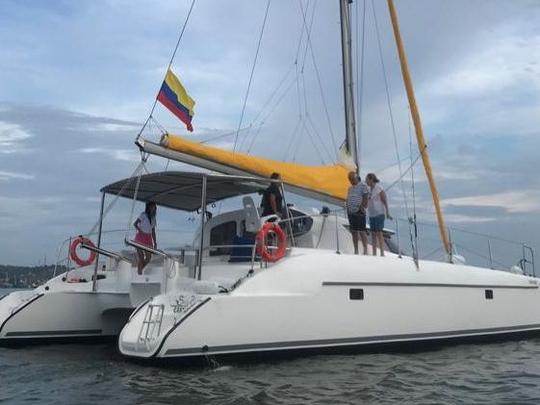 ¡Gran catamarán de vela para hasta 25 personas!