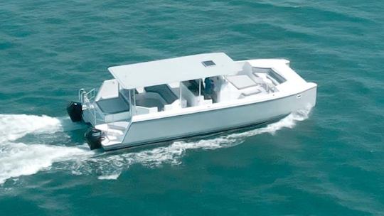 45' Power Catamaran in Casa de Campo, La Romana