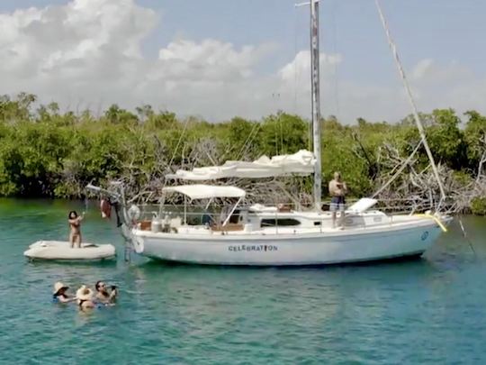 Refresh in the warm Caribbean Waters.