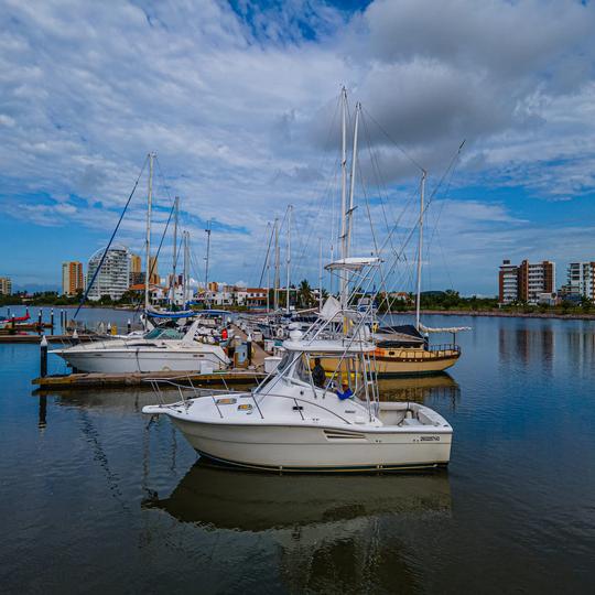 Location de yacht et de pêche sportive Luhrs de 36 pieds à Mazatlan