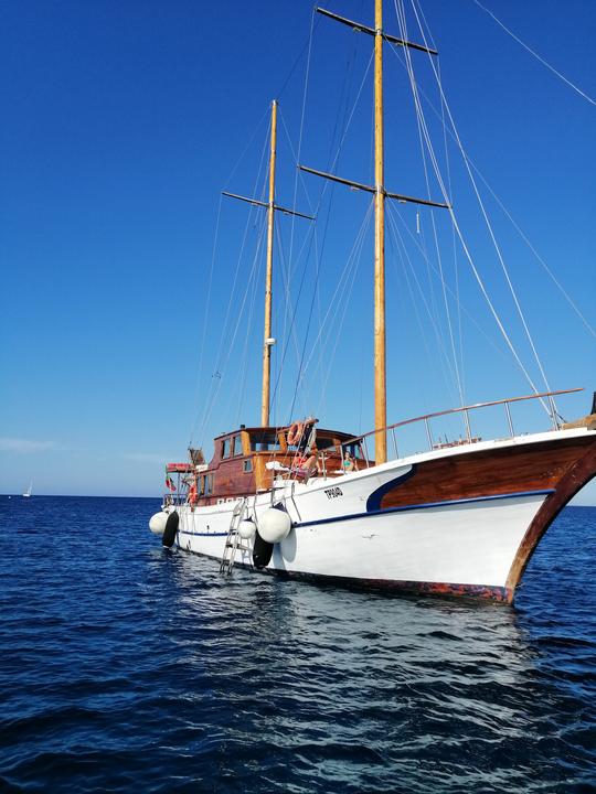 Safári de live aboard e mergulho no Mar Mediterrâneo: Ilhas Égadi, Malta, Tunísia