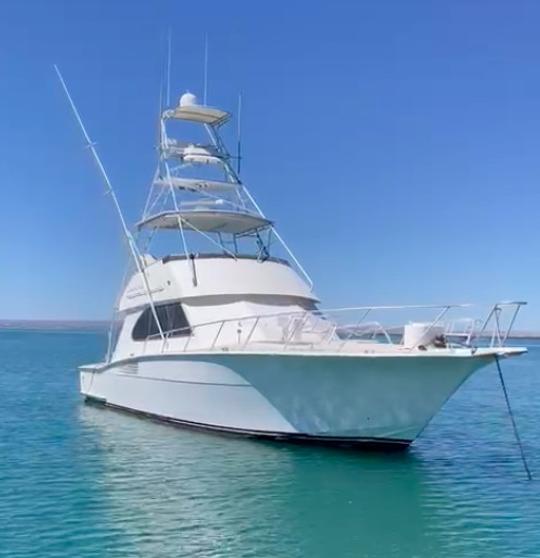 YATE AZIMUT DE 50 PIES PARA UNA EXPERIENCIA INOLVIDABLE EN BAJA CALIFORNIA SUR