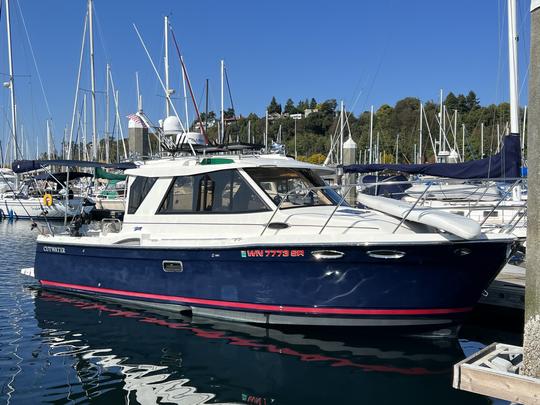 Croisières à Elliott Bay et au lac Washington avec le capitaine à bord d'un Cutwater 28