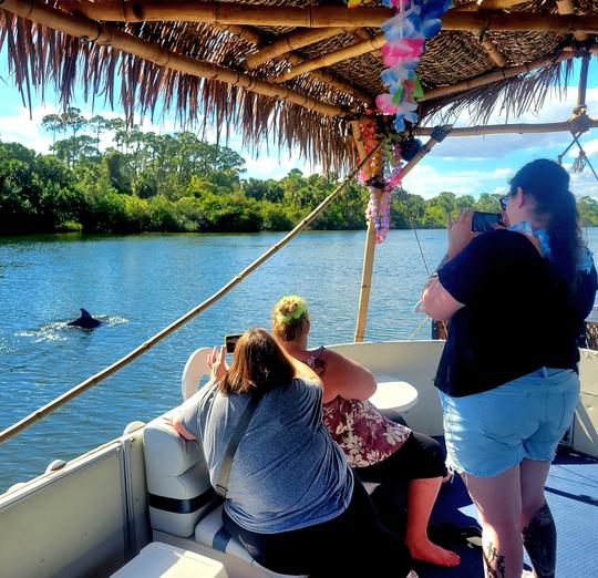 Dolphin & Manatee Sightseeing Cruise in Cocoa Beach, Florida