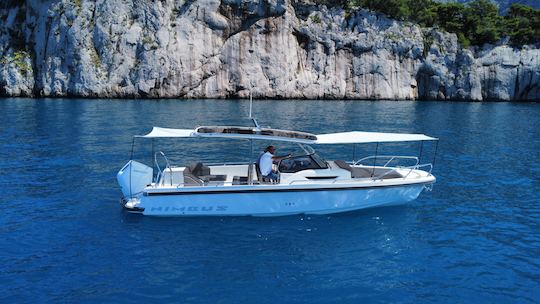 Nuevo barco de un día para viajes inolvidables | Nimbus Boat de 31 pies