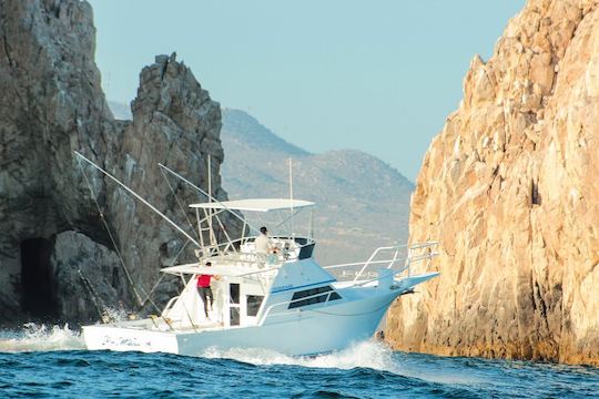 FISHING TRIPS & TOURS 