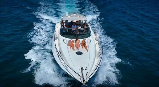 Sunseeker Camargue 50 Luxury Yacht Charter