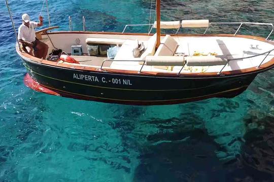 Excursion en bateau privé à Capri au départ de Capri