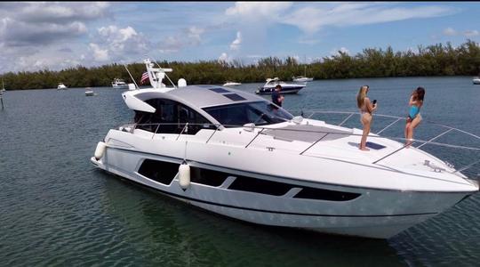 Hermoso Sunseeker Predator 60