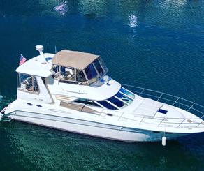 Paint, party and yacht with us! Climb aboard the 45ft Sea Ray 