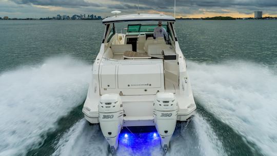 Sea Ray Sundancer de 32 pulgadas de «La bella de los mares»