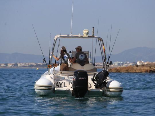 Alcossebre Excursion with BSC 78 Boat powered by 250 hp Suzuki