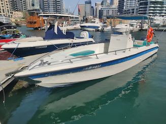 Blue Fin 32 Feet Motor Boat in Dubai