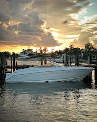 Balade royale de 28 pieds vers Peanut Island et Sandbar