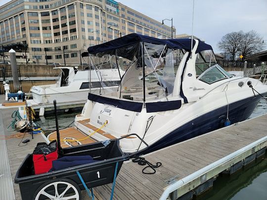 Sea Ray Sundancer 35' Enjoy a trip on our luxury DMV yacht!