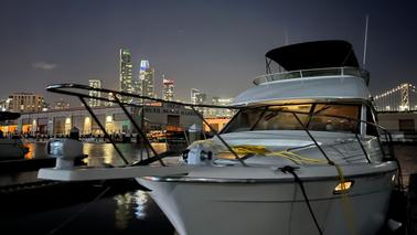 Comfortable cruiser on San Francisco Bay