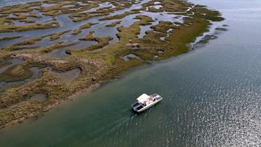 Algarve Eco Boat Trip in Ria Formosa from Faro