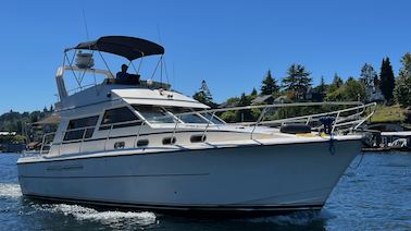 Vintage Viking Princess 385 Yacht for Charter