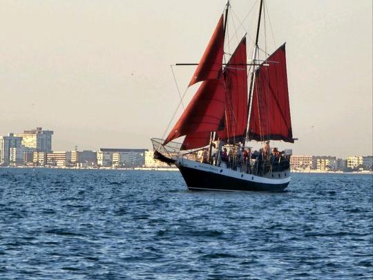 ¡Navega a bordo del barco más fotografiado de la región de Tampa Bay!