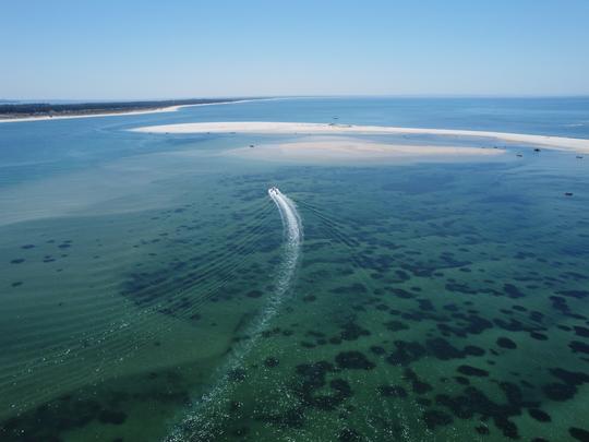 Rio Sado tour for up to 8 people