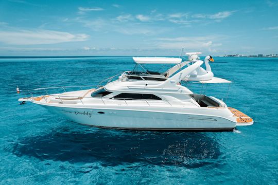 Hermoso yate a motor Sea Ray Flybridge de 50 pies