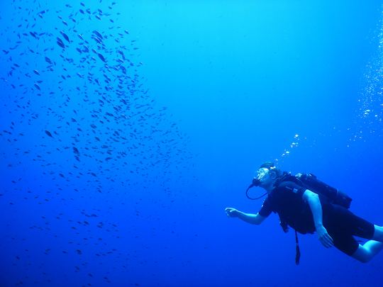 Diving Trips & Padi Courses in Poli Crysochous