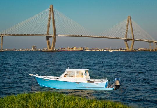 Croisière privée en bateau avec les dauphins de Flipper Finders dans le port de Charleston