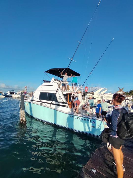 Tour de pesca Bertram de 35 pies en Cancún, Quintana Roo