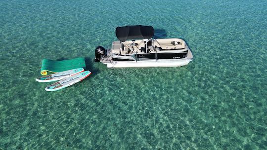 Excursões à Ilha do Caranguejo/avistamentos de golfinhos/cruzeiros ao pôr do sol em Destin, FL