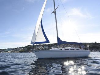 36' Catalina Sailing Yacht in Lake Union, Seattle