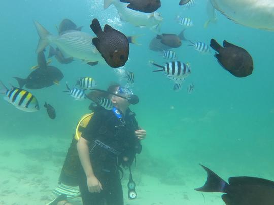 Cursos de buceo en Mombasa