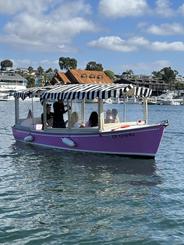 Pretty in Pink 21 Foot Duffy | Driver Included in Price (Up to 12 Guests)