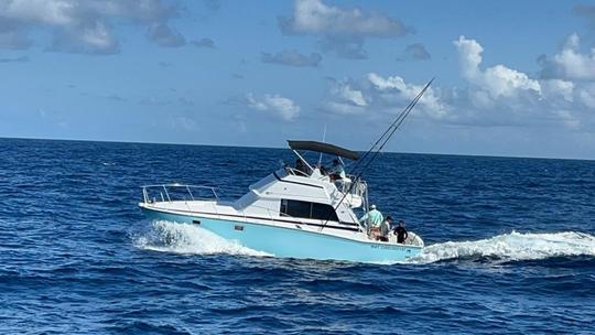 Tour de pesca Bertram de 35 pies en Cancún, Quintana Roo