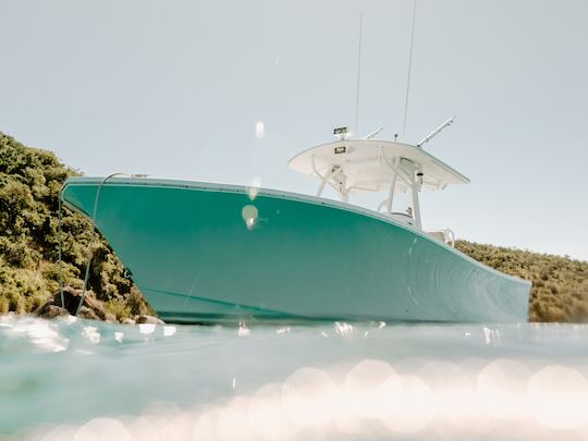 Excursion d'une journée complète à Saint-Thomas et à Saint-Jean, USVI, île des États-Unis | Régulateur de 34 minutes