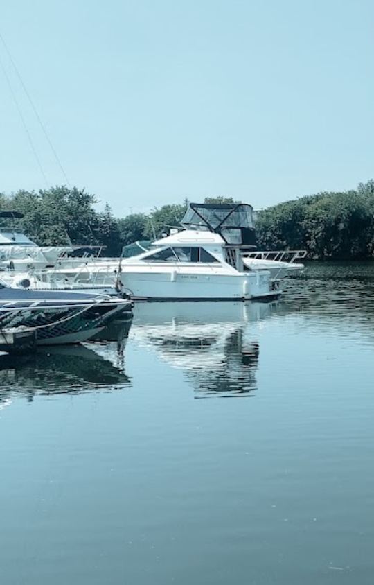 Puente Sea Ray Seadan