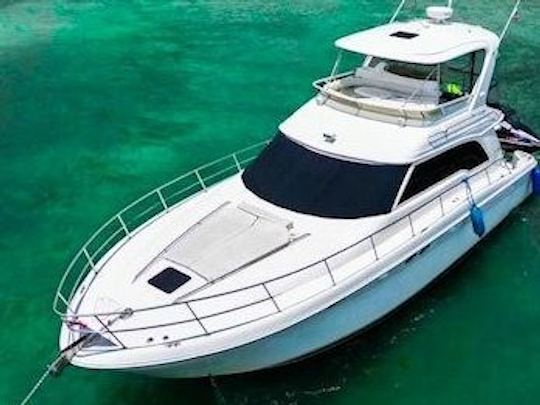 «Disfrute de Miami: Sea Ray 52 Yacht: ¡grandes descuentos! ¡Pregunte ahora para obtener la mejor oferta!»