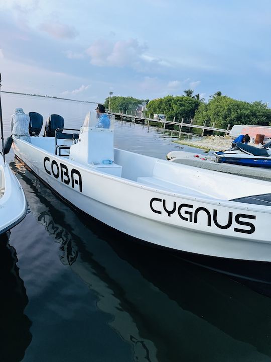 Tour de medio día de esnórquel con manatíes en San Pedro, Belice