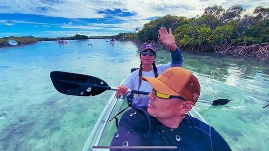 Clear Kayak Mangrove Cay Eco Venture 2-hour tour