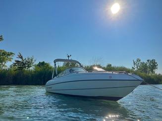 Barco a motor Stingray de 19 pés no Lago St. Clair