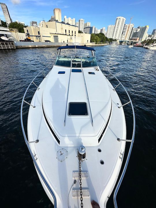 Aproveite Miami no Sea Ray Sundancer de 41 pés - pergunte agora para obter a melhor oferta!