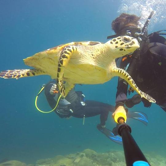 Découvrez le joyau de la mer de Mascate en bateau : une excursion en mer exclusive et inoubliable !