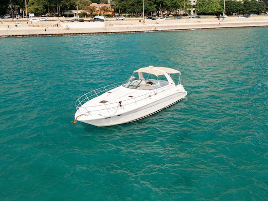 Enjoy Chicago! 46' Beautiful Sea Ray Yacht - Perfect for Parties 