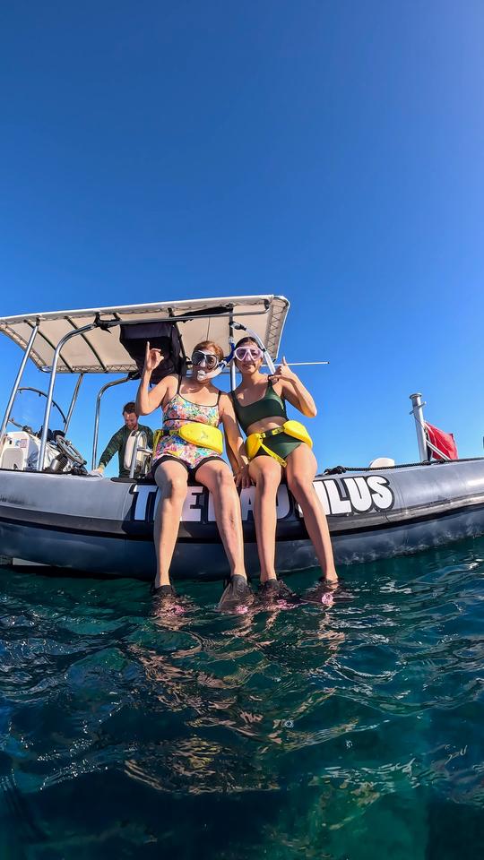 Waikiki Snorkel Boat Tour