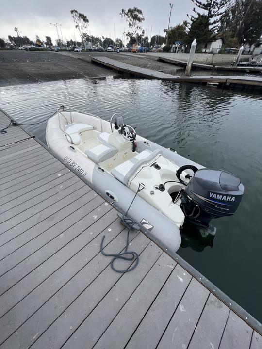 Zodiac Yachtline de 15 pés - Explore o litoral panorâmico e a vida marinha da Califórnia