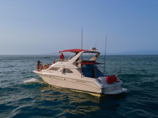 BAR.CO | SeaRay 44ft Beatuful Yacht para quem procura diversão e aventura.